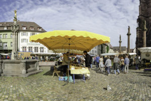 Read more about the article Freiburg – Münster